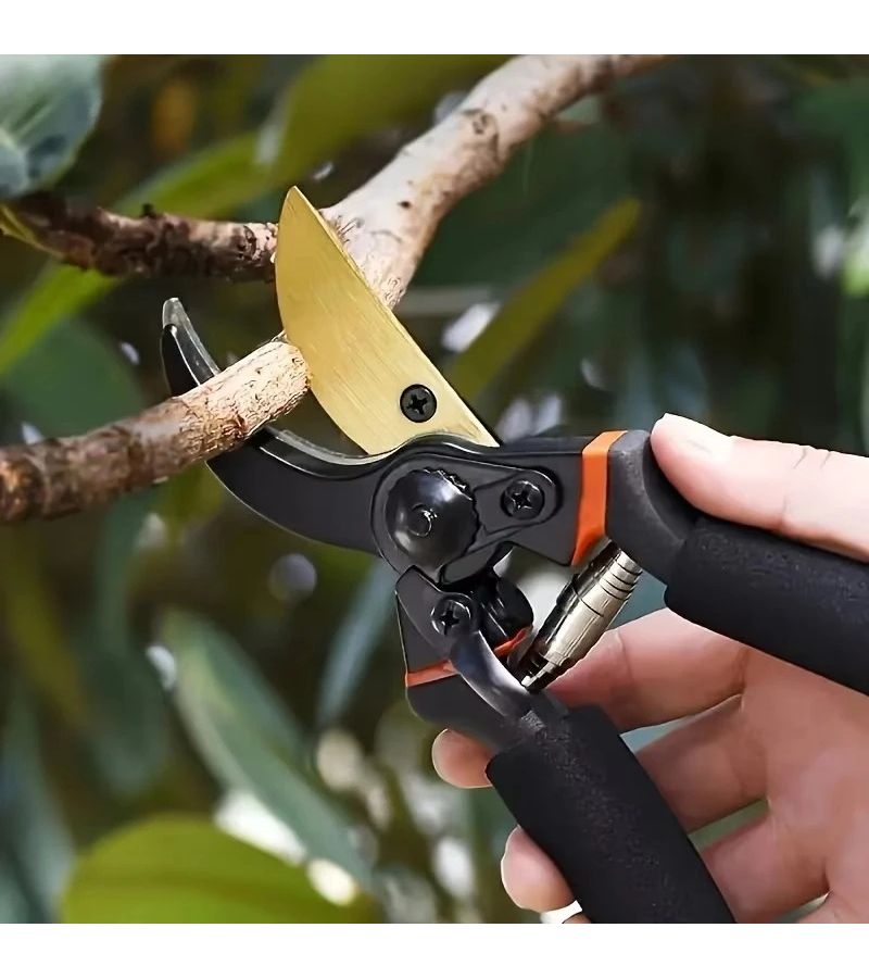 SK5 Thickened Pruning Scissors Professional Garden Floral Tree Branch Fruit Tree 1pc - Image 3