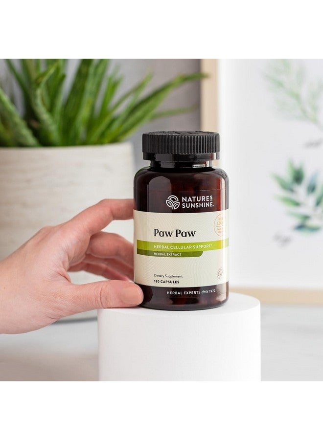 Nature's Sunshine Paw Paw Cell-Reg, 180 Capsules | Contains over 50 Acetogenins to Modulate ATP Production and Blood Supply - Image 3