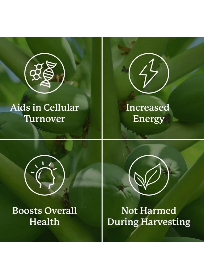 Nature's Sunshine Paw Paw Cell-Reg, 180 Capsules | Contains over 50 Acetogenins to Modulate ATP Production and Blood Supply - Image 5