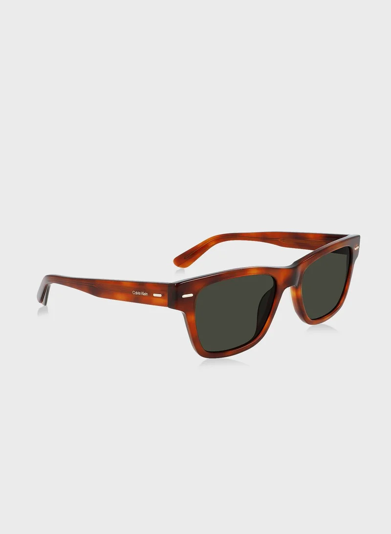 CALVIN KLEIN Wayfarer Sunglasses