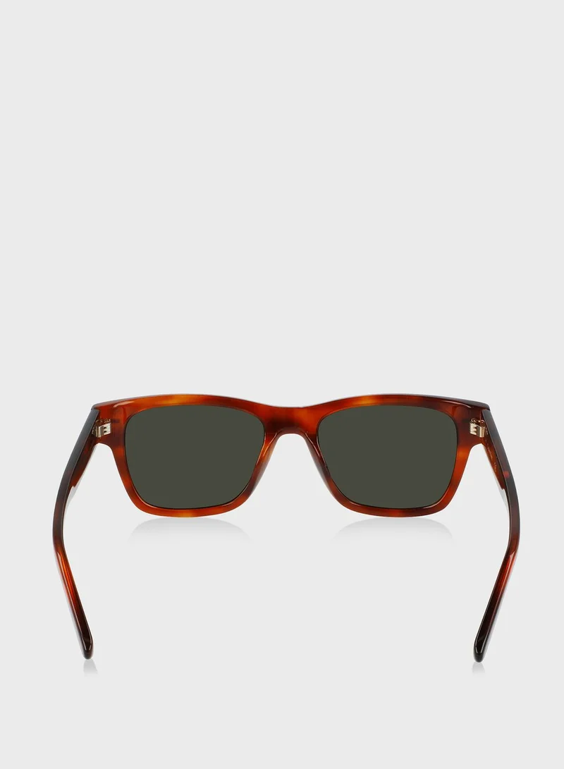 CALVIN KLEIN Wayfarer Sunglasses