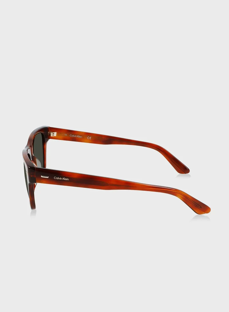 CALVIN KLEIN Wayfarer Sunglasses