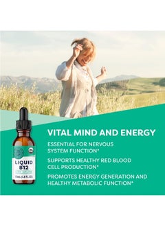 Vimergy Vimergy USDA Organic B12, 30 Servings - Alcohol Free B-12 Liquid Vitamin - Supports Brain Energy, Nervous System, Cognition, Memory - No Gluten, Non-GMO, Vegan & Paleo - Naturally Sweet Flavor (1 oz)  - Image 2