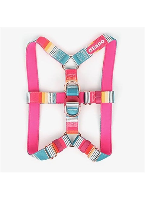 ™ Harnesses I Neoprene Padded Fully Adjustable and Made with Durable Polyester, Metal d-Rings and a Quality Buckle