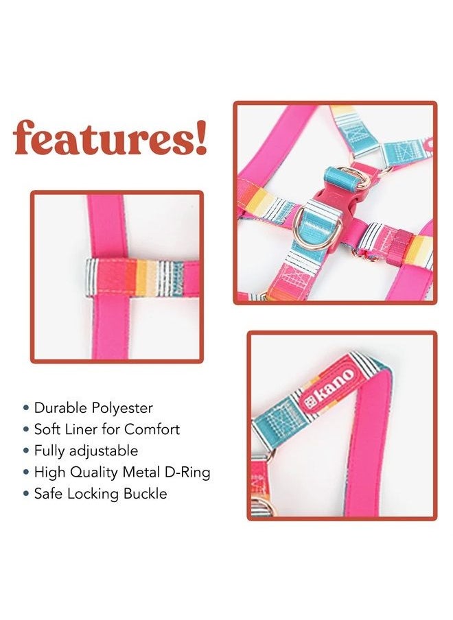 ™ Harnesses I Neoprene Padded Fully Adjustable and Made with Durable Polyester, Metal d-Rings and a Quality Buckle