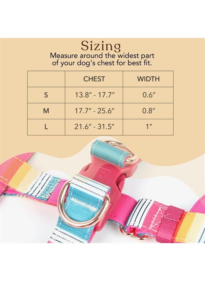 ™ Harnesses I Neoprene Padded Fully Adjustable and Made with Durable Polyester, Metal d-Rings and a Quality Buckle