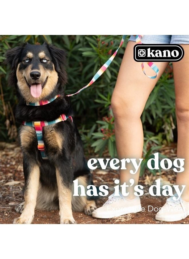 ™ Harnesses I Neoprene Padded Fully Adjustable and Made with Durable Polyester, Metal d-Rings and a Quality Buckle