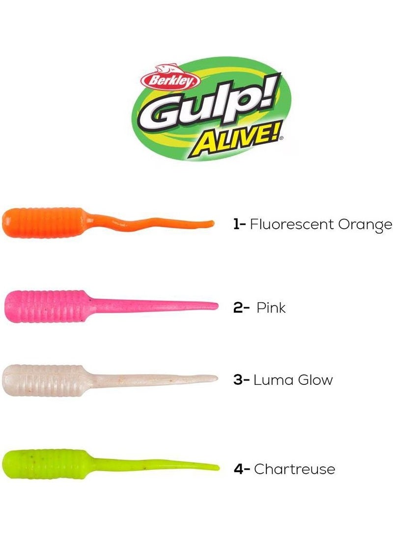 Berkley Gulp Alive Fish Fry 2cm Lrf Silicone Food  - Image 2