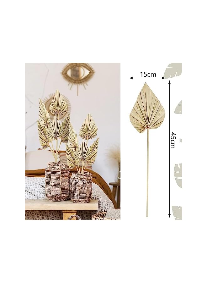 The Bros 10 Pcs Boho Dried Palm Spears Leaves Bulk, Small Natural Dried Real Palm Fans,Dried Palm Leaves with Stem Dried Leaf Boho Home Decor for Vase Wedding Office Home, DPAL-71 - Image 2