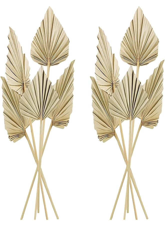 The Bros 10 Pcs Boho Dried Palm Spears Leaves Bulk, Small Natural Dried Real Palm Fans,Dried Palm Leaves with Stem Dried Leaf Boho Home Decor for Vase Wedding Office Home, DPAL-71 - Image 1