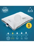 دوناتيلا PACK OF 1