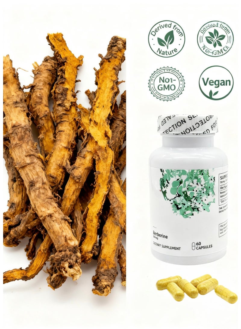 Berberine-500 With Thorne Research - Botanical Compound To Support Sugar Metabolism - 60 Capsules - Image 3