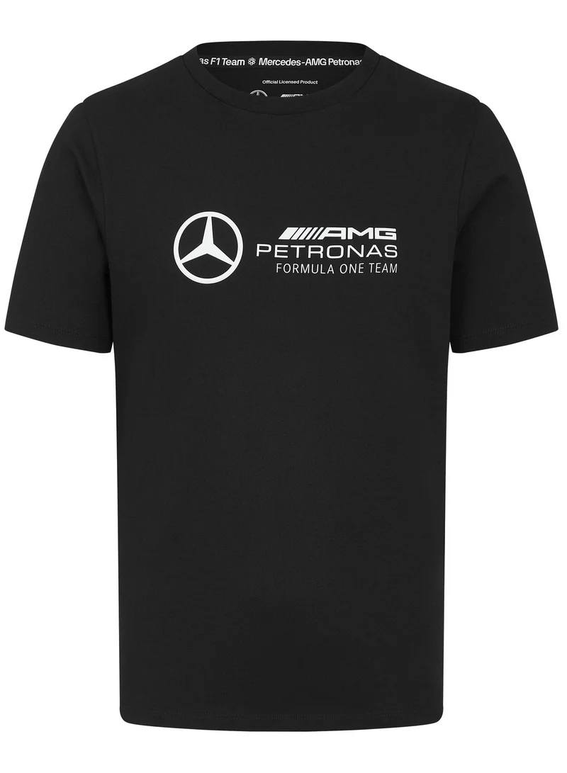 AMG Petronas Formula 1 Team  MERCEDES AMG PETRONAS Formula1 Men's T-Shirt for Men | Best Price UAE