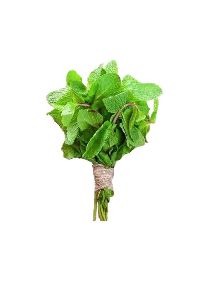 Mint, 180g to 210g, UAE