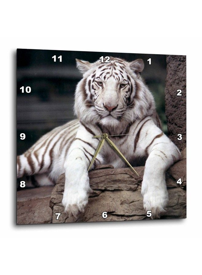 3DROSE النمر الأبيض في حديقة حيوان ساكرامنتو كاليفورنيا الولايات المتحدة الأمريكية 05 Tau0014 ساعة حائط Tananarive Aubert مقاس 13 × 13 بوصة (Dpp_88641_2) - Image 3