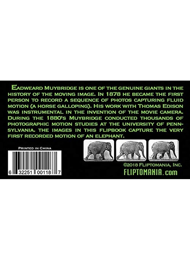 فليبتومانيا مجموعة فليبتومانيا مويبريدج للتصوير الفوتوغرافي المبكر (مجموعة من 3 كتب): حصان، قطة، فيل - Image 4