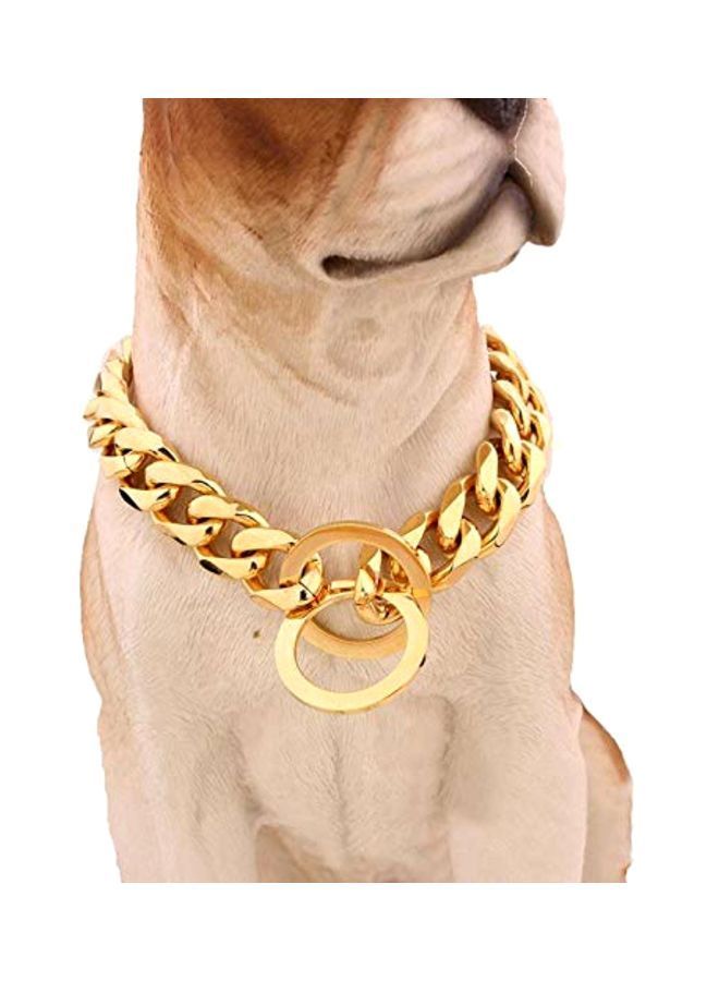 NIBEMINENT Metal Dog Collar Gold - Image 2
