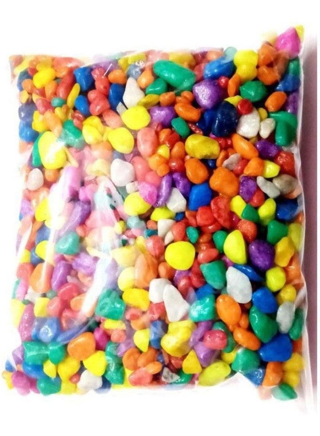 1st Time Dcor Pebbles/Stone for Fish Aquarium, Garden, Plant Vase, Multicolor, WT. 450 gm- S6 - Image 1
