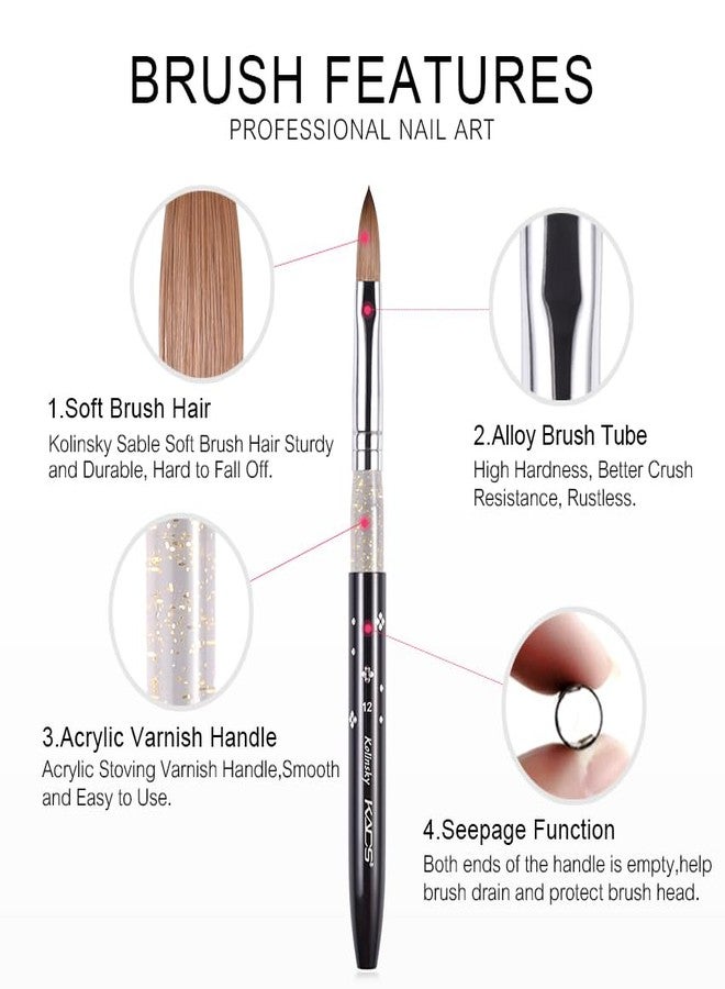 KADS Kolinsky Sable Acrylic Brush Set - 5pcs, Sizes 2#-10#, Black - Image 5