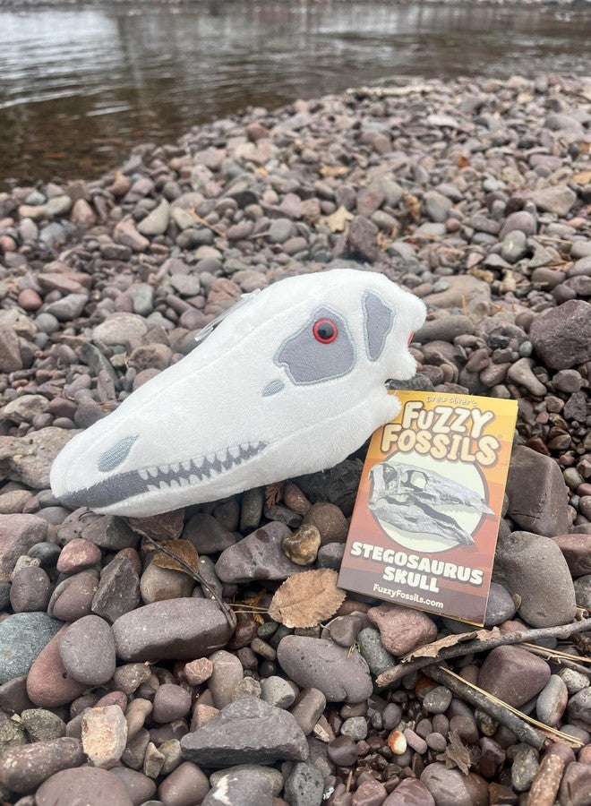 Giant Microbes Fuzzy Fossils Stegosaurus Stuffed Animal, Stegosaurus Plush, Dinosaur Stuffed Animal, Stuffed Dinosaur Plush, Stegosaurus Toy, Dinosaur Toy, Dinosaur Skull Decor, Dinosaur Pillow, Paleontologist Gifts - Image 5