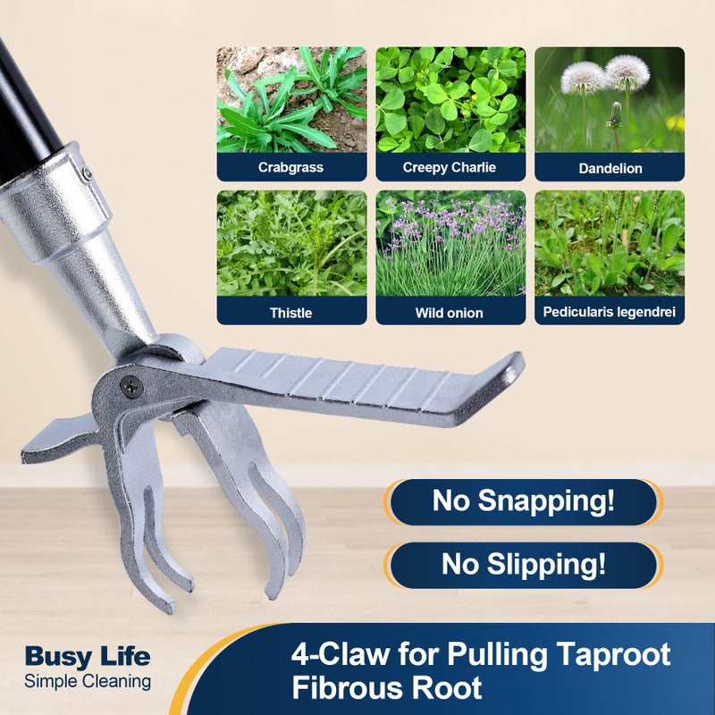 Yocada Weed Puller Tool Stand Up Weed Remover Tool with 4 Claw Steel Head Weeder Tool Long Handle Garden Hand Weeding Tool Easily Remove Weeds Roots Without Bending Pulling Kneeling 62.59" - Image 3