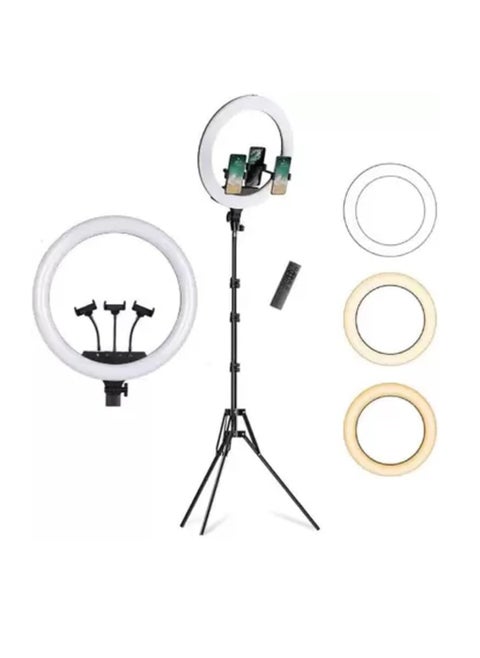 14-Inch Ring Light with 3 Color Modes – Dimmable LED for Photography, YouTube, Live Streaming, Makeup & Vlogging (With 3 Holders & Remote)