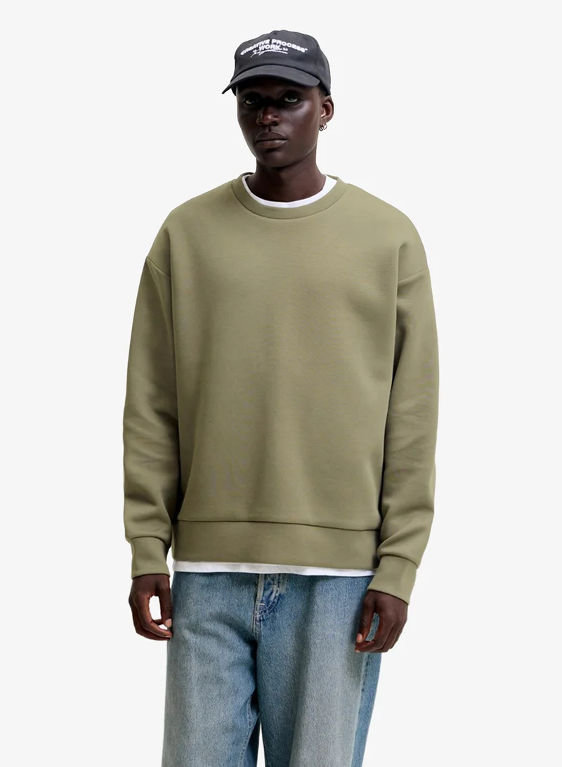 Solid Crew Neck Regular Fit Sweatshirt