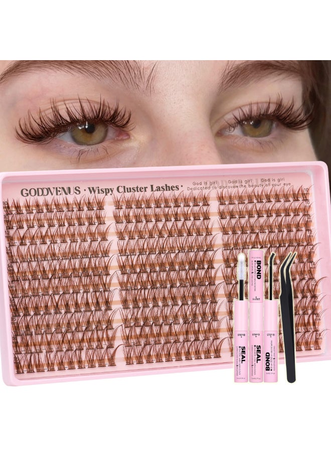 Goddvenus Brown Lash Clusters Kit Natural 300Pcs Wispy Lashes Cluster Eyelash Cluster Extensions Kit C Curve Individual Lashes Extensions Kit For DIY Waterproof Long Lasting Light Brown1016mm - Image 2