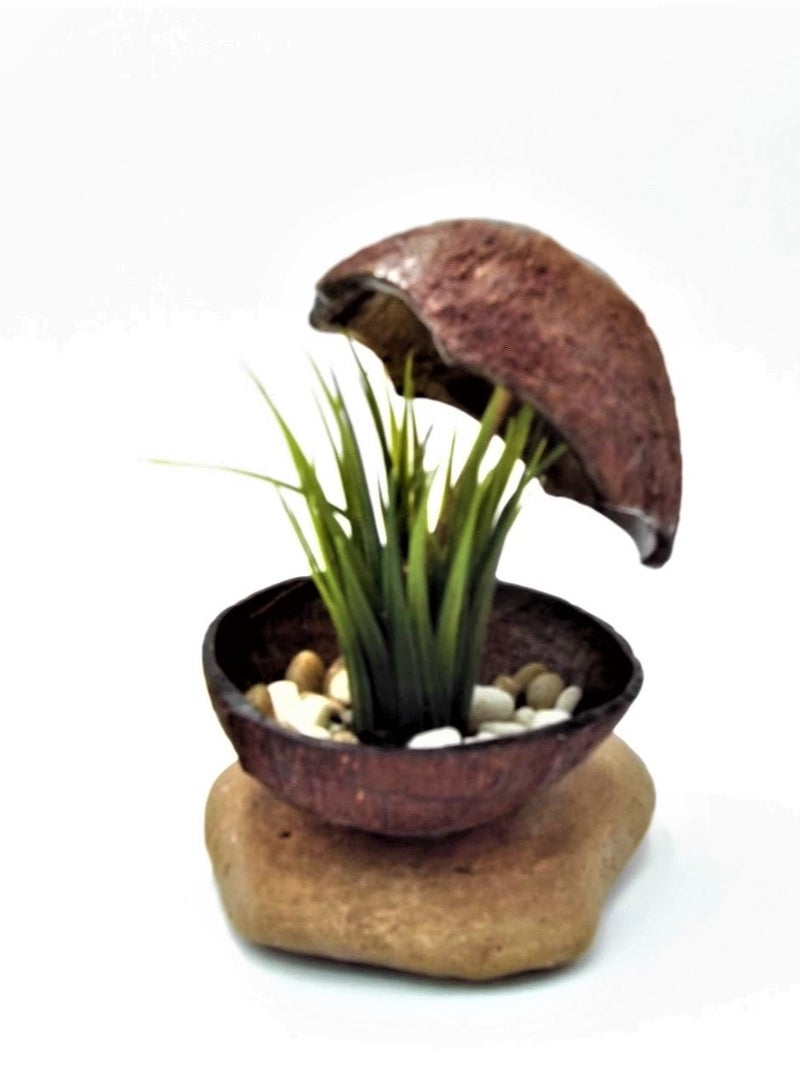 ارك حوض من جوز هند لنبات صناعي / 18*13 سم - Image 1