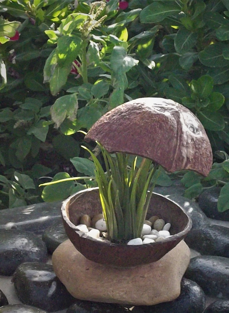 ارك حوض من جوز هند لنبات صناعي / 18*13 سم - Image 2