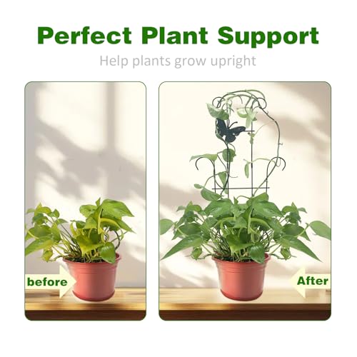 CHOUYUHE 23 Inch Plant Trellis for Potted Plants Sturdy Metal Houseplant Trellis for Climbing Plants Indoor Outdoor RustResistant Plant Support for Monstera Pothos Ivy 2 Pack 2 23inch - Image 3