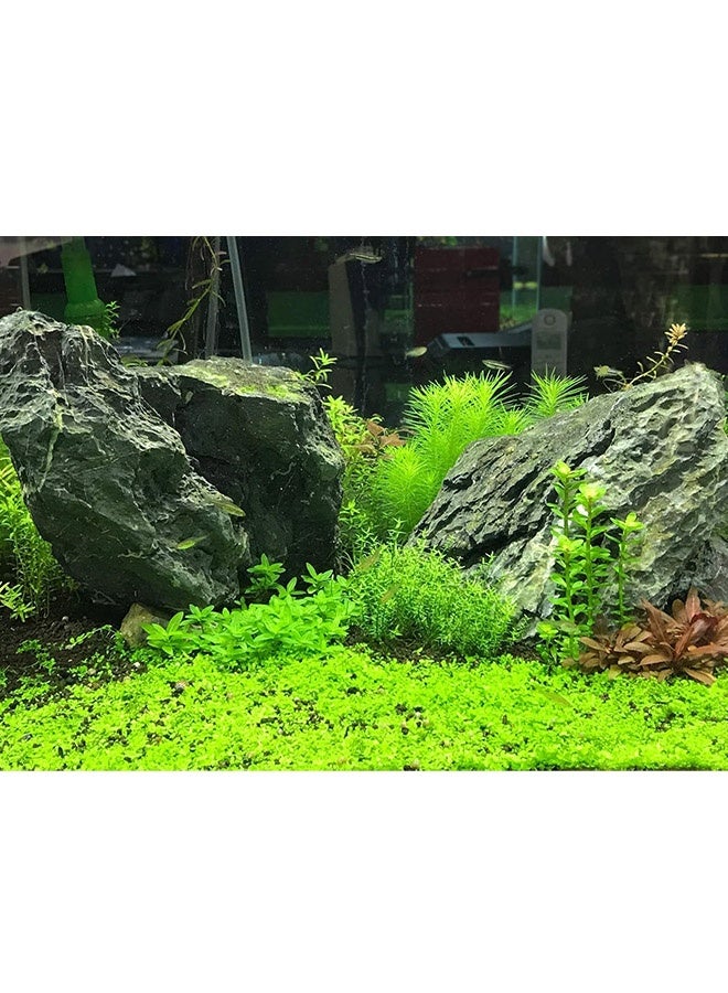 Seachem فلوريس حديد - 4 لتر - Image 3