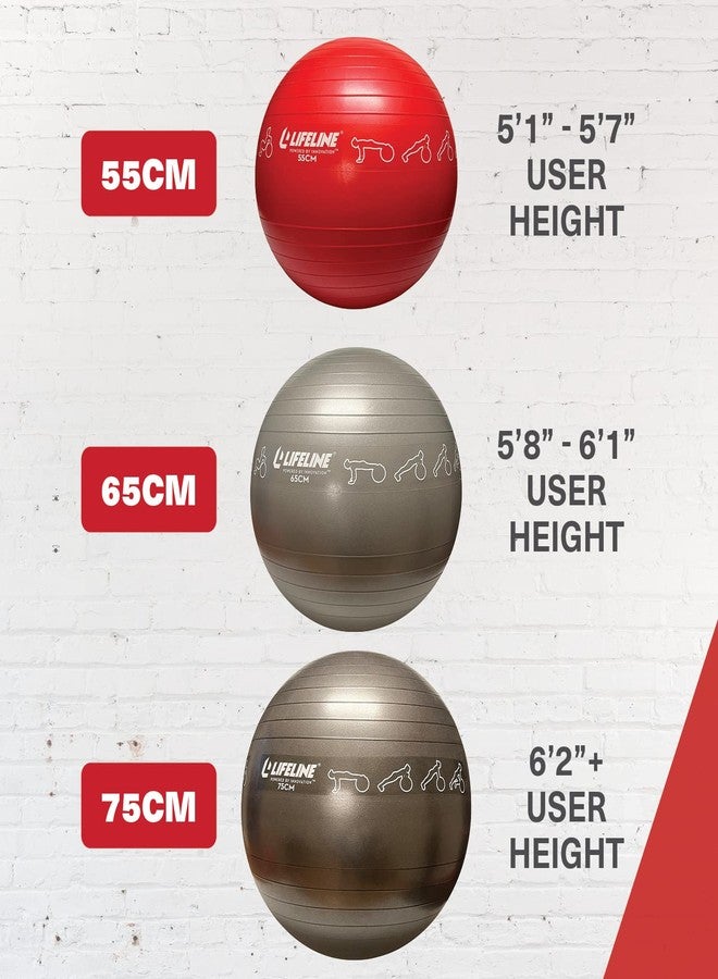 Lifeline Fitness Exercise Ball – Burst-Resistant Stability Ball with Inflation Pump for Core Workouts, Office Use, & Pregnancy Exercises - Image 3