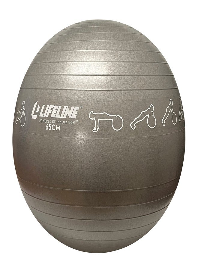 Lifeline Fitness Exercise Ball – Burst-Resistant Stability Ball with Inflation Pump for Core Workouts, Office Use, & Pregnancy Exercises - Image 1