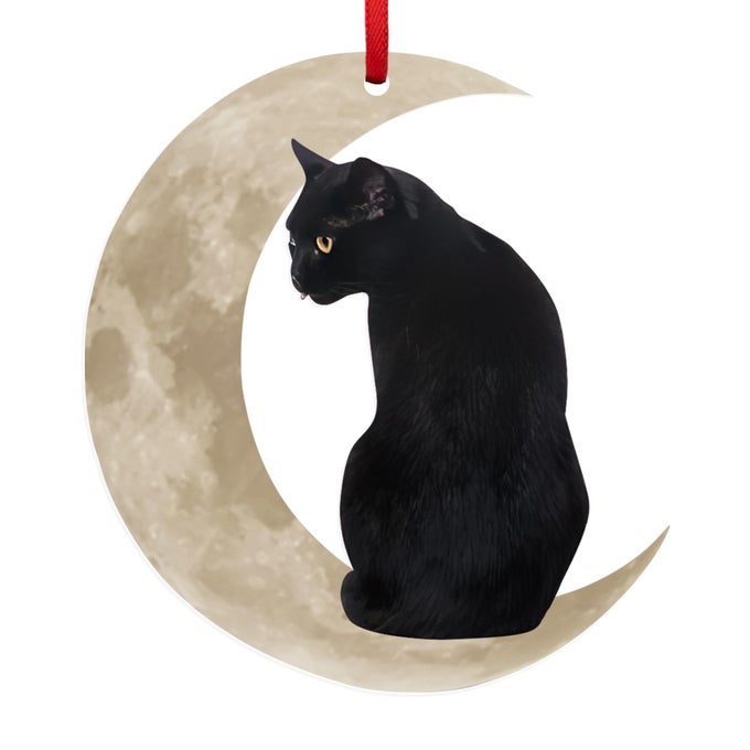FUNNY BLACK CAT GIFTS FOR WOMEN MEN ACRYLIC CHRISTMAS ORNAMENTS 2025 FOR TREE DECORATIONS CAT LOVER GIFTS FOR WOMEN ANIMAL LOVERS FUNNY ORNAMENTS FOR CHRISTMAS DECORATIONS