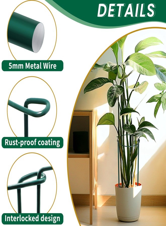 TCBWFY 14" Dx32 H Plant Supports Stakes for Large Heavy Plants,10Pack Peony Supports,Heavy Duty 5mm Wire Peony Cages,Interlock Garden Supports Ring Border Support,Plant Support Cage for Rose Flower - Image 3
