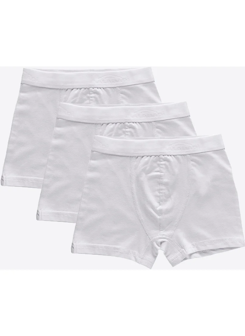 Malabadi 3 Pack Boy Boxer 3M208