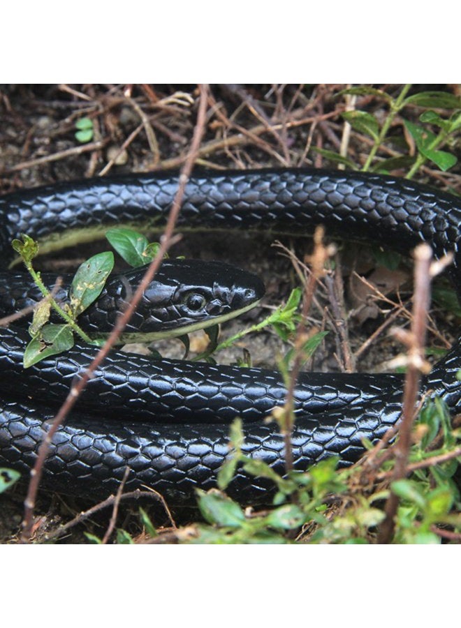 Nakimo Realistic Rubber Fake Snake Toy 50 Inch Mamba for Garden Props and Practical Joke - Image 4