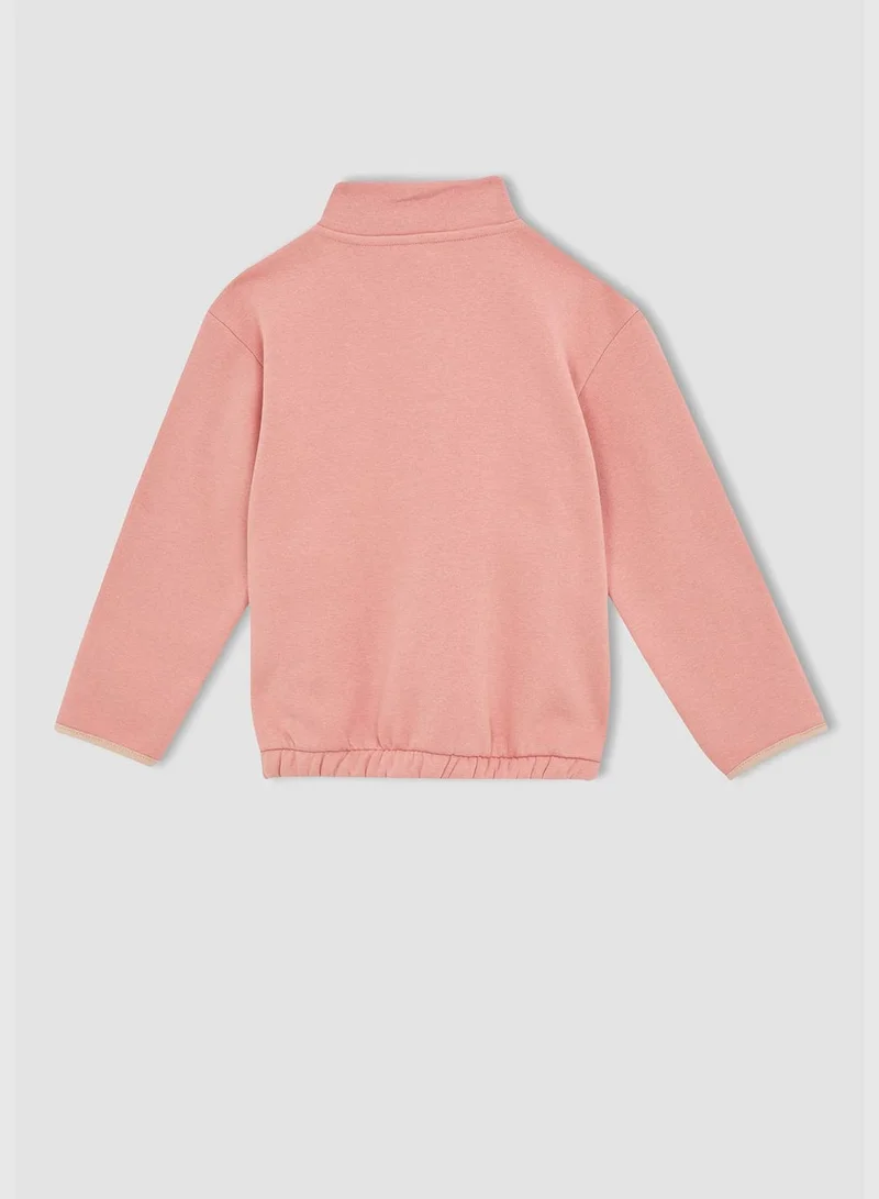 DeFacto Regular Fit Turtleneck Zippered Sweatshirt
