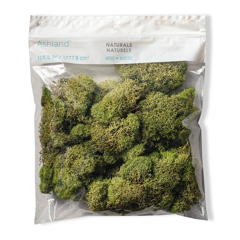 QUALITY GROWERS طحالب الرنّة المحفوظة من كواليتي غرويرز QG2060، 108.5 بوصة مكعبة، أخضر ربيعي - Image 1