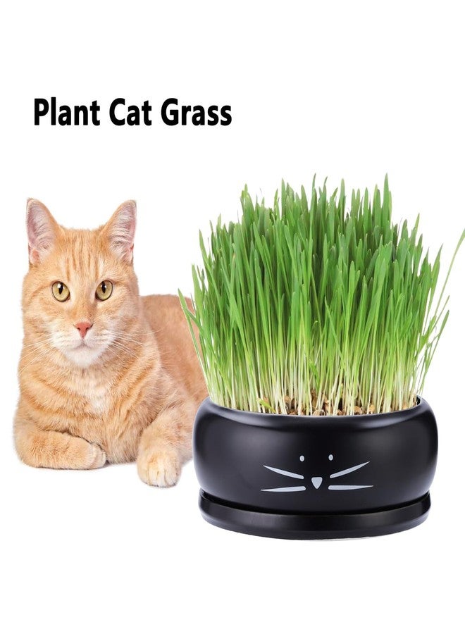 Koolkatkoo 8 Inch Large Cute Cat Ceramic Succulent Planter Pots with Removable Saucer Unique Porcelain Cactus Planters Decorative Flower Pot for Cat Lovers - Image 5