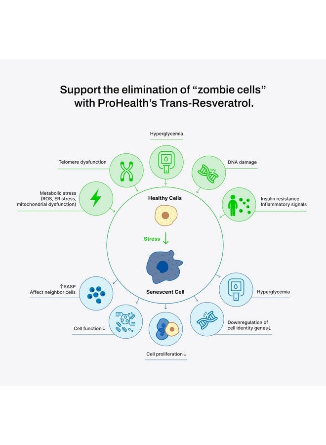 برو هيلث ترانس ريسفيراترول بلس ١٠٠٠ ملغ. مكمل ترانس ريسفيراترول الأكثر بحثًا في العالم. تركيبة طبية مع كيرسيتين ومعززات حيوية لتحقيق أقصى فعالية. مختبر معمليًا، نقي بنسبة ٩٨٪. ٣٠ حصة (عبوة من ٣ قطع). - Image 2