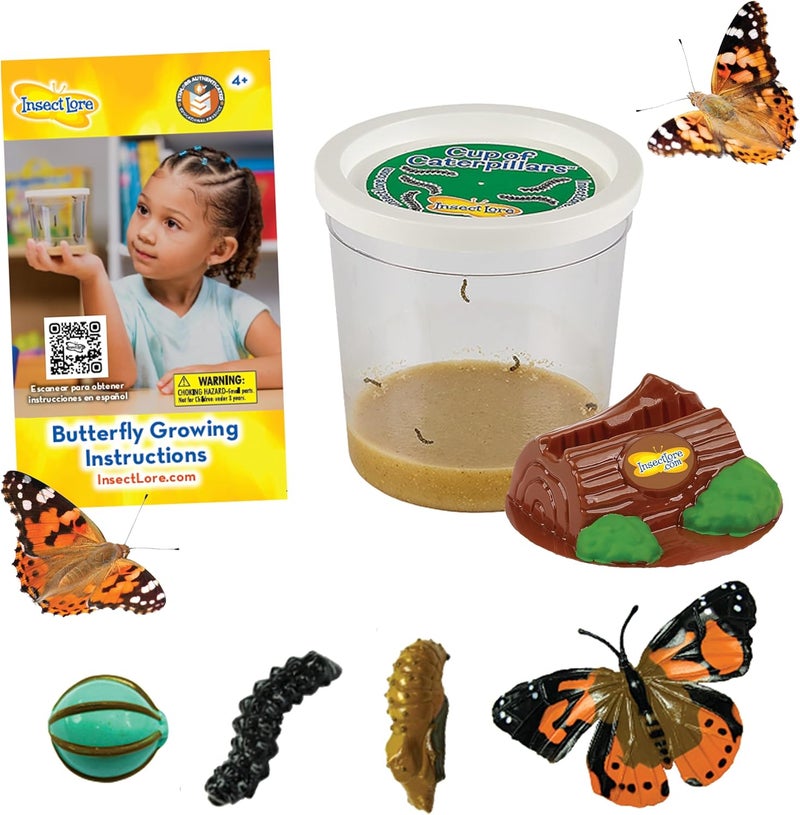 Insect Lore Cup Caterpillars - 5 Live Painted Lady Caterpillars with Food - Includes Figurines - Refill Kit for Butterfly Garden Habitat - STEM Science Activity for Kids and Classrooms - Image 1