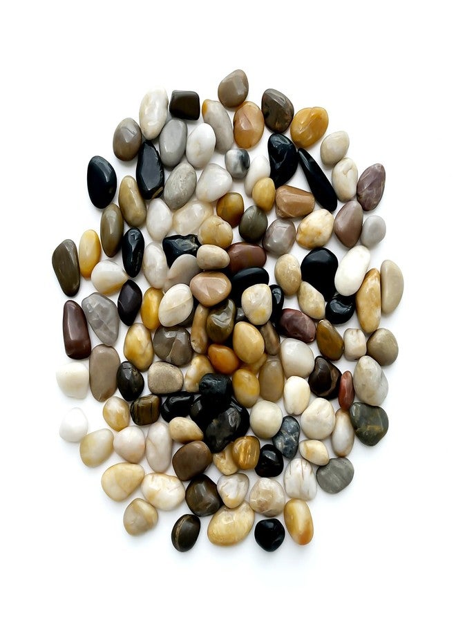 RooTrimmer 5 Lbs River Rocks for Plants,0.4-1.2 Inch Decorative Ornamental Pebbels, High Polished Stones for Garden Landscaping, Smooth Gravel Filler for Outdoor Plants, Succulents, Fish Tank and Vases - Image 1