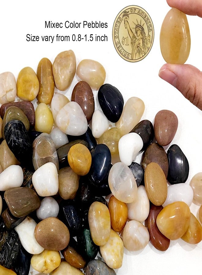 RooTrimmer 5 Lbs River Rocks for Plants,0.4-1.2 Inch Decorative Ornamental Pebbels, High Polished Stones for Garden Landscaping, Smooth Gravel Filler for Outdoor Plants, Succulents, Fish Tank and Vases - Image 5