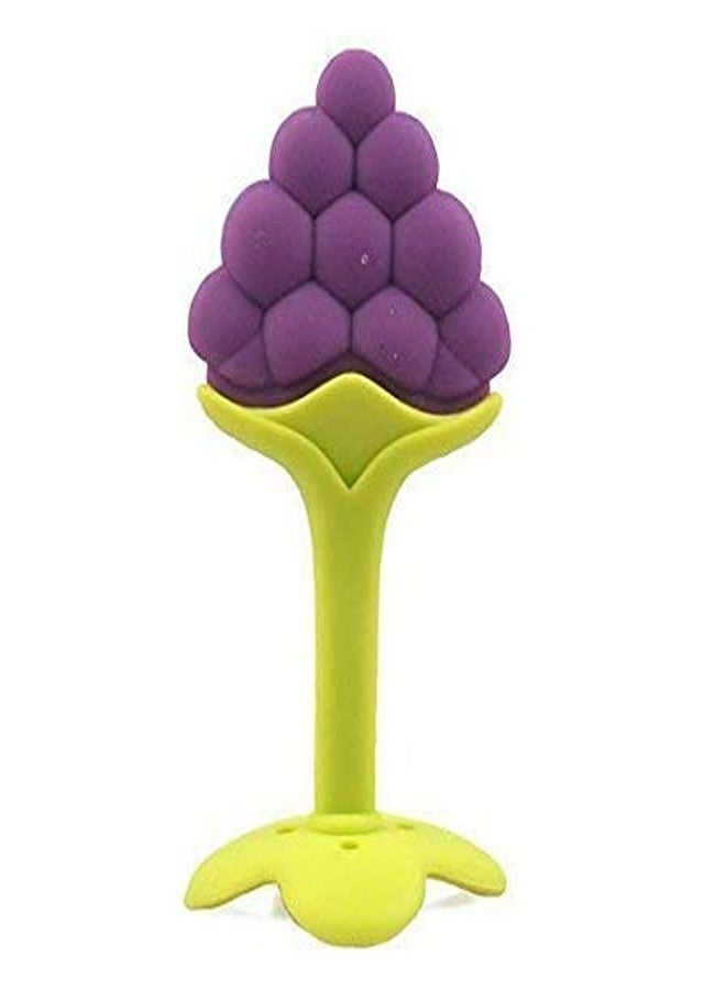 First Trend Star Nibbler Fruit Shape Silicone Teether with Baby Fruit Nibbler Pacifier for Baby (Combo Saver Pack of 2) (Grapes & Yellow Pacifier) - Image 2