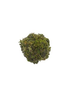 DR ARYA DR ARYA Natural Dried Moss Grass Preserved For Pots With The Nice Green Appearance For Home and Garden 1 KG 