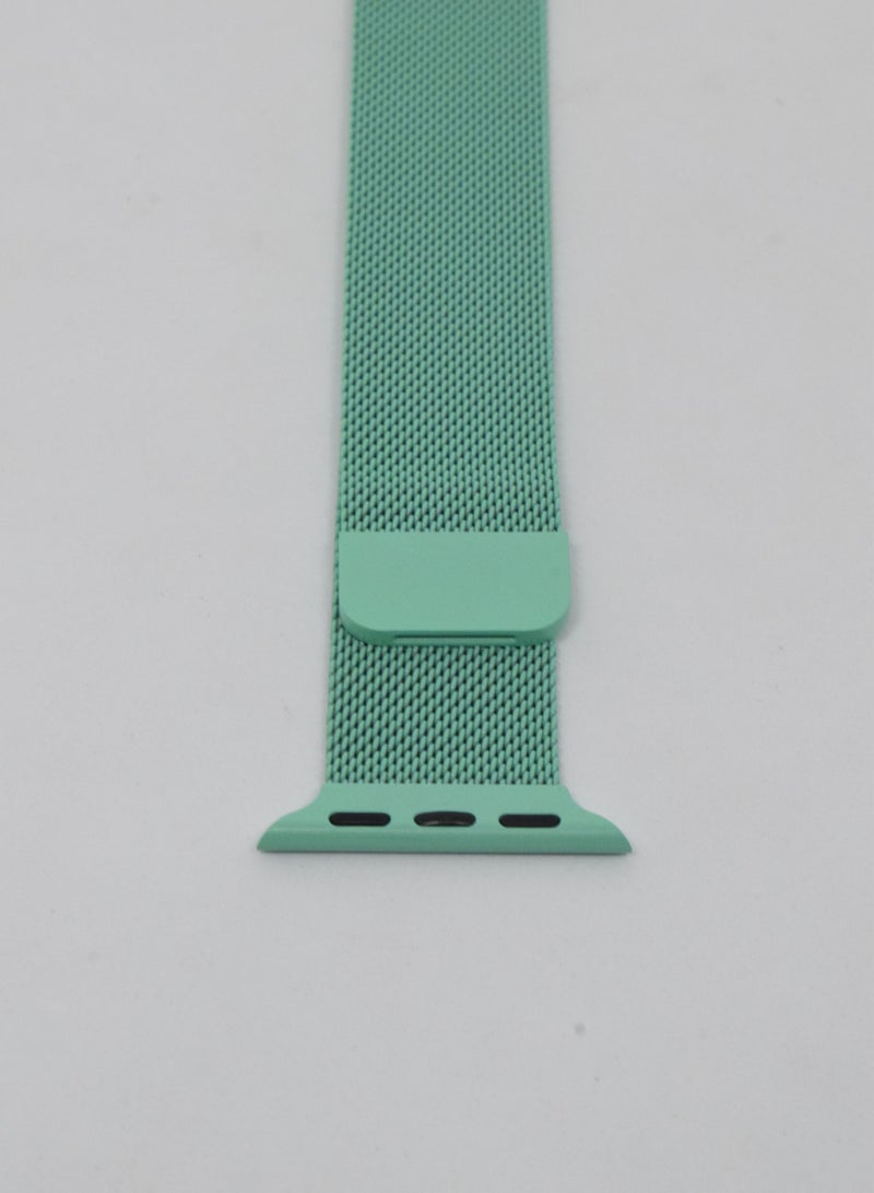 BORTONY Replacement Watch Band For Apple Series 6/5/4/3 Size 42/44mm - Image 2