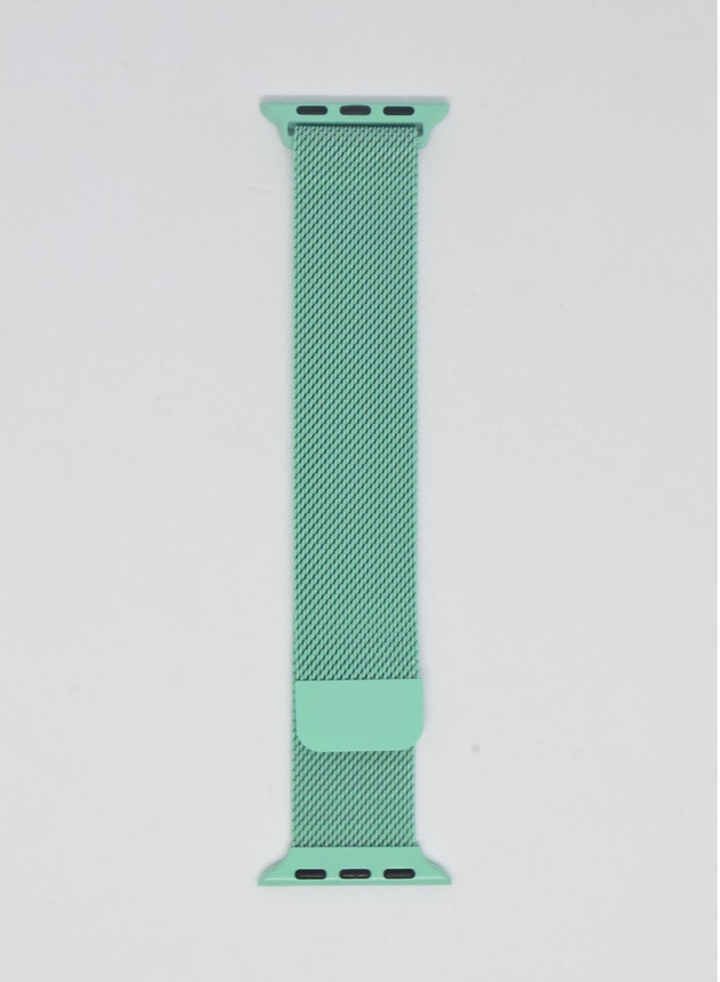 BORTONY Replacement Watch Band For Apple Series 6/5/4/3 Size 42/44mm - Image 1