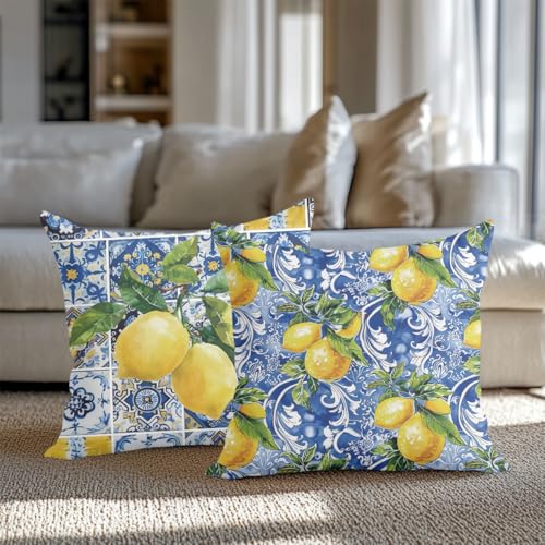 CQM Secret Santa Gifts 2 PCs Italy Lemon Pillow Covers 18x18 Throw Pillow Covers, Lemon Decor Italian Gifts Pillow Cases Decorative Pillow Protectors Living Room Bedroom Home Decor for Cushion Car Bed - Image 4